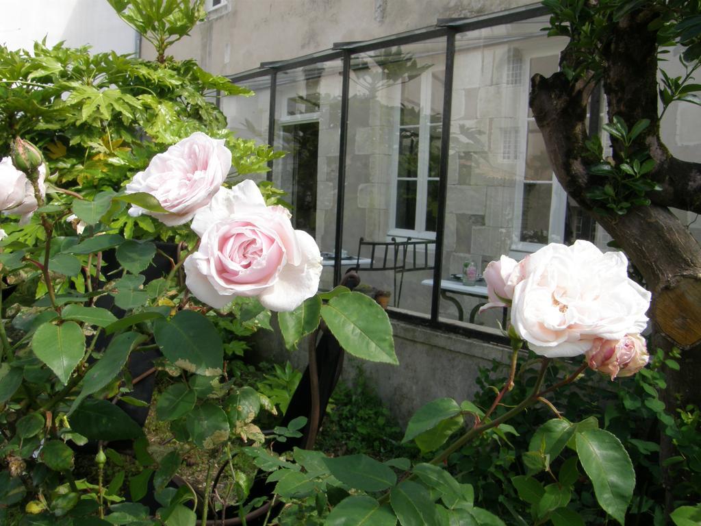 La Maison Douce Saint-Martin-de-Ré Eksteriør bilde